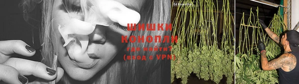 крисы Балабаново